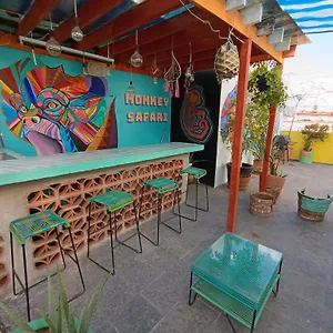 https://jirafa-roja-hostel.hotels-in-queretaro.com